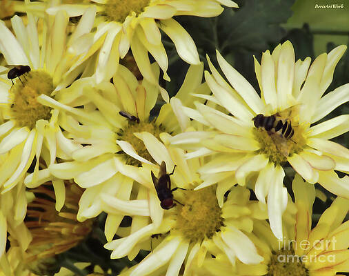 Busy Bees by Roberta Byram Busy Bees by Roberta Byram