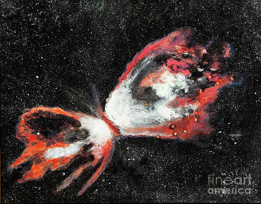 Butterfly Nebula by Laurette Escobar Butterfly Nebula by Laurette Escobar