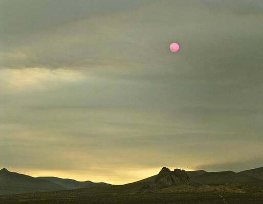 By The Light of The Red Sun by Amelia Racca By The Light of The Red Sun by Amelia Racca