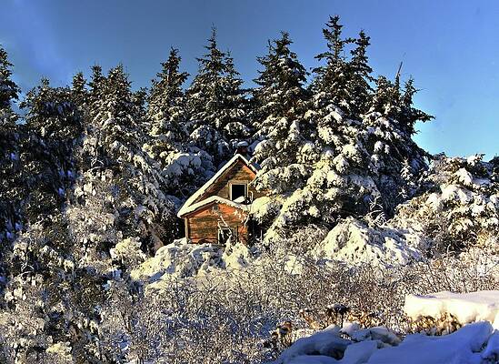 Cabin by David Matthews Cabin by David Matthews