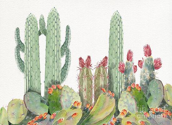 Cactus Paintings (Page #18 of 35) | Fine Art America
