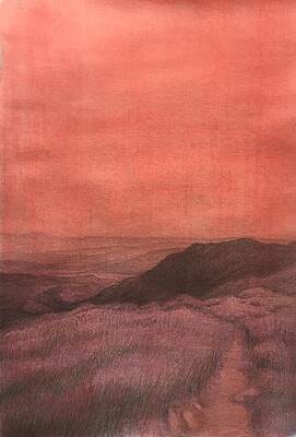 Cactus to Clouds by Mandy Johnson