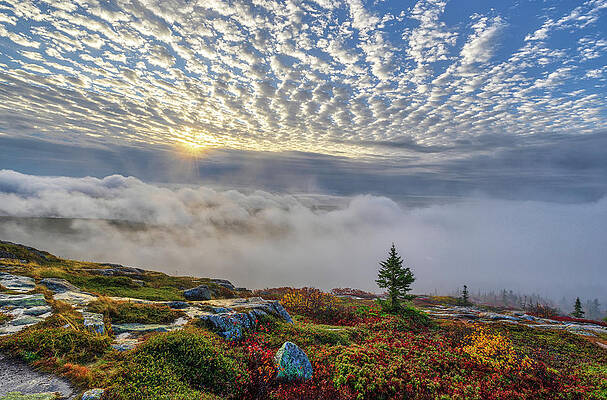 Wall Art - Photograph - Cadillac Mountain Sunrise Fog and Fall Foliage  by Juergen Roth