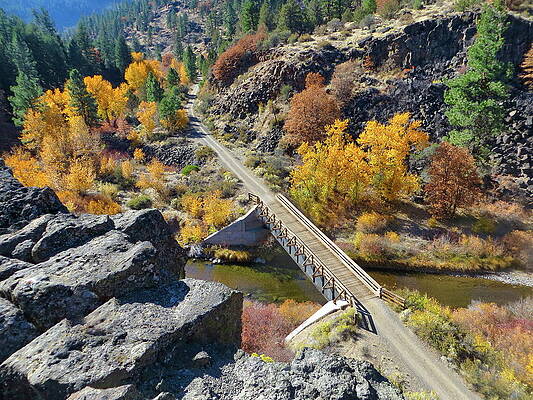 California Nature Bridge by Anthony Dezenzio California Nature Bridge by Anthony Dezenzio