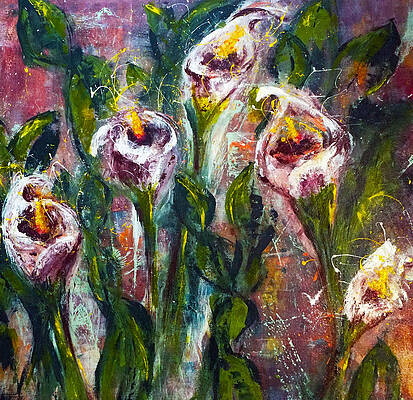 Calla Lily Midnight by Joanne Herrmann Calla Lily Midnight by Joanne Herrmann