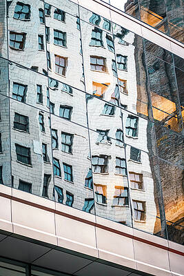 Wall Art - Photograph - Calling On the Light by Christi Kraft