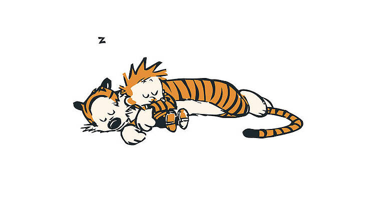 Calvin And Hobbes by Jennifer F Pitts