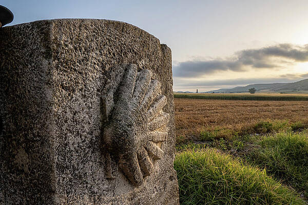 Wall Art - Photograph - Camino de Santiago Shell by Michael Warren