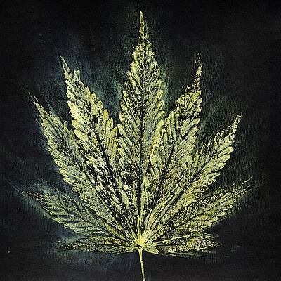 Marijuana Leaf Paintings Page 2 Of 2 Pixels