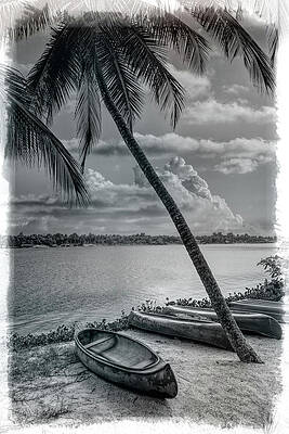 Canoes Waiting on the Beach in Black and White by Debra and Dave Vanderlaan Canoes Waiting on the Beach in Black and White by Debra and Dave Vanderlaan