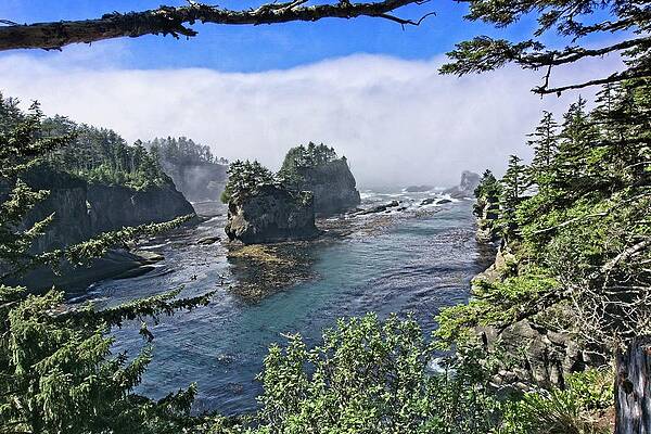  Photograph - Cape Flattery Inlet 2 by David Desautel