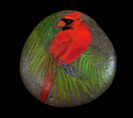 Cardinal on a Palm Tree Frond by Nancy Lauby Cardinal on a Palm Tree Frond by Nancy Lauby