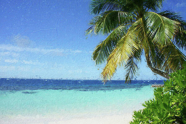Caribbean Sunny day, white sand beach with palm trees by Davide Checchini