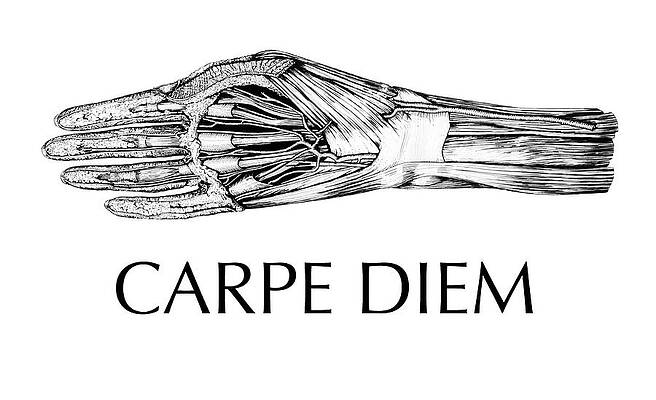 Carpe diem Digital Art by Word Fandom - Pixels