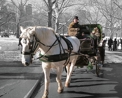 Carriage Ride by Jim Mathis Carriage Ride by Jim Mathis