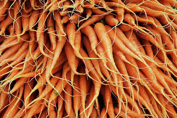 Carrots by D Patrick Miller Carrots by D Patrick Miller