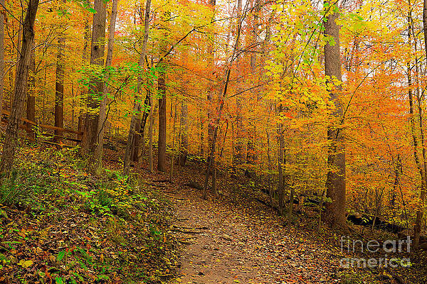Cascade Falls Trail in Autumn by SCB Captures Cascade Falls Trail in Autumn by SCB Captures