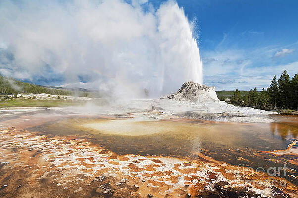 Wall Art - Photograph - Castle Geyser, Yellowstone national park, Wyoming, USA by Neale And Judith Clark