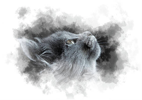 Printable Drawings Fine Art America