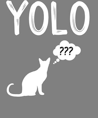 cat-yolo-you-only-live-once-nine-lives-stacy-mccafferty.jpg