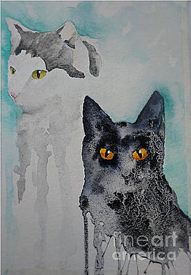 Cats by Janet Cruickshank Cats by Janet Cruickshank