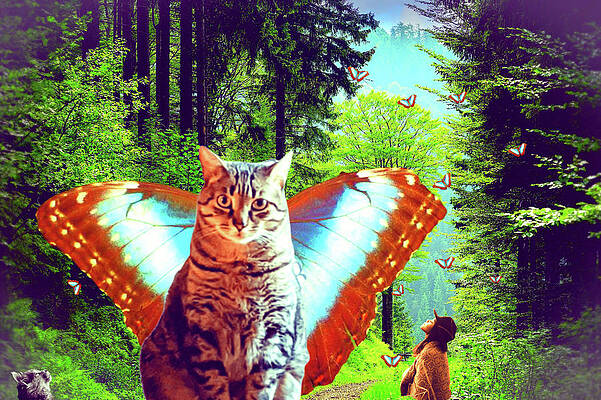 Catterfly in the Woodlands by Muckles Figtree