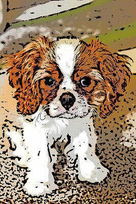 Cavalier Puppy by Tanya C Smith Cavalier Puppy by Tanya C Smith