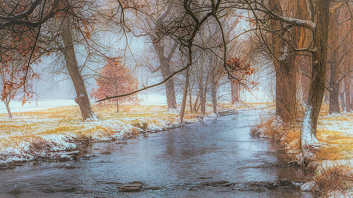 Cedar Creek by Jason Fink Cedar Creek by Jason Fink