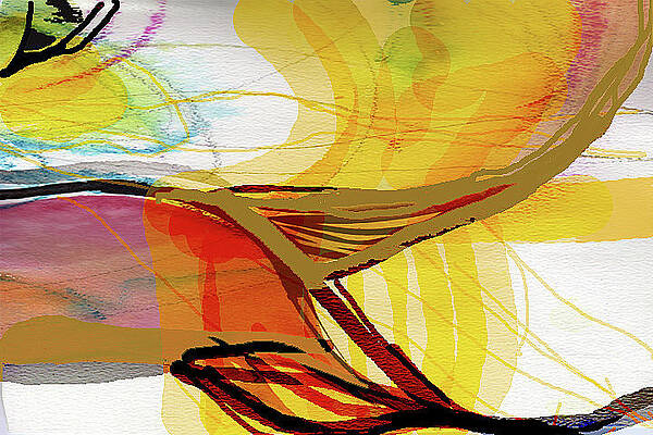Celestial Curvature by Neema Lakin-Dainow Celestial Curvature by Neema Lakin-Dainow