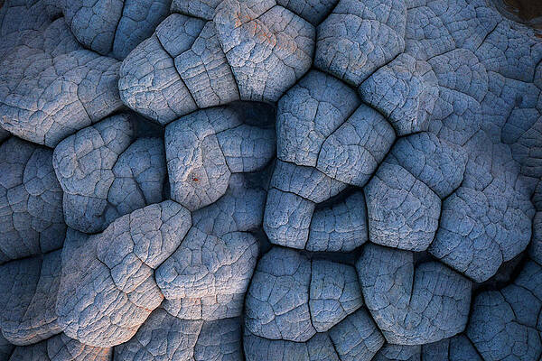 Cerebral by Dustin LeFevre Cerebral by Dustin LeFevre