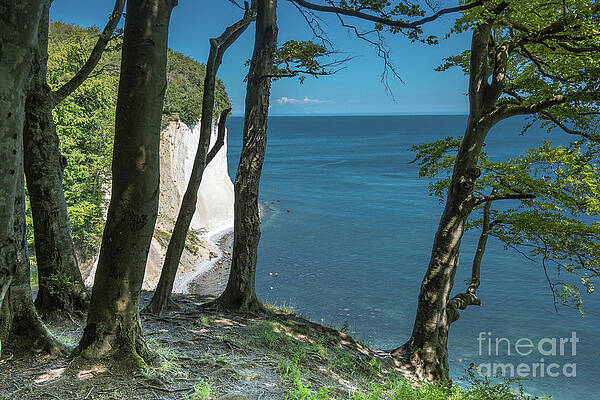 Chalk cliffs by Juergen Klust Chalk cliffs by Juergen Klust