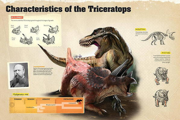 Wall Art - Digital Art - Characteristics of the Triceratops by Album