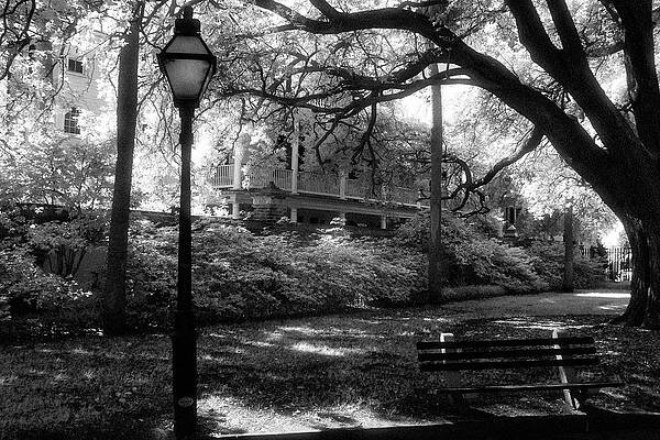 Charleston Park by Jeffrey Holbrook Charleston Park by Jeffrey Holbrook