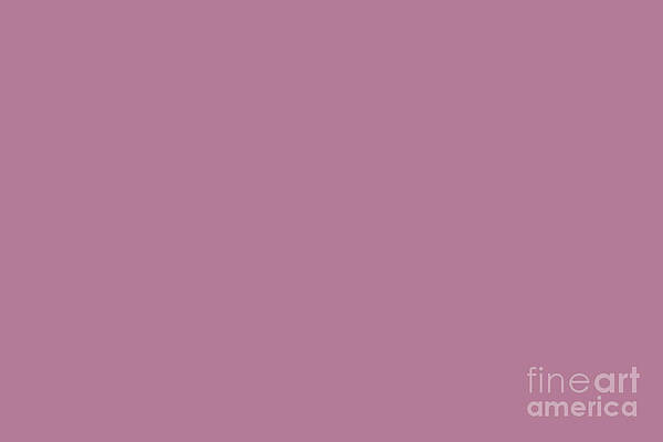 Charming Dark Pastel Pink Purple Solid Color Pairs To Sherwin Williams Red Clover SW 6564 by Melissa Fague Charming Dark Pastel Pink Purple Solid Color Pairs To Sherwin Williams Red Clover SW 6564 by Melissa Fague