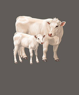 Charolais Cow and Cute Calf Kids T hippie hippie by Ross Wood