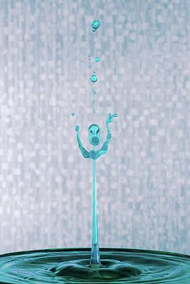 Wall Art - Photograph - Cheering Duck by Sue Leonard