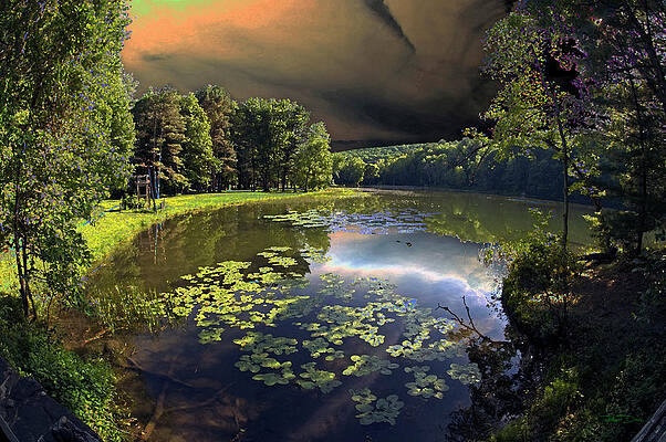 Storm Brewing by Robert Dann Storm Brewing by Robert Dann