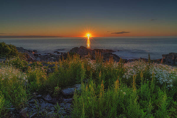 Wall Art featuring the photograph Cherished Moments by Penny Polakoff