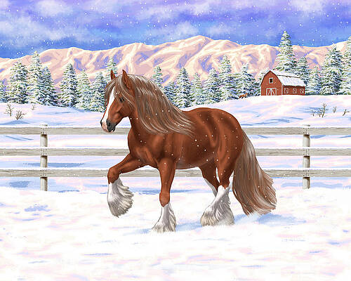Chestnut Gypsy Vanner Draft Horse In Snow by Crista Forest Chestnut Gypsy Vanner Draft Horse In Snow by Crista Forest
