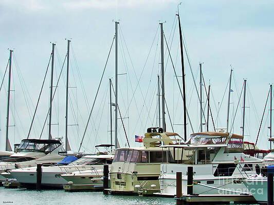 Chicago Docked by Roberta Byram Chicago Docked by Roberta Byram