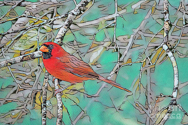 Cardinal In The Brush by Deborah Benoit Cardinal In The Brush by Deborah Benoit