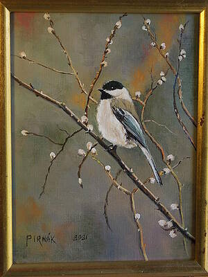 Chickadee by John Pirnak Chickadee by John Pirnak