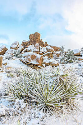 Chilled Desert by Marilyn McFarlin Chilled Desert by Marilyn McFarlin
