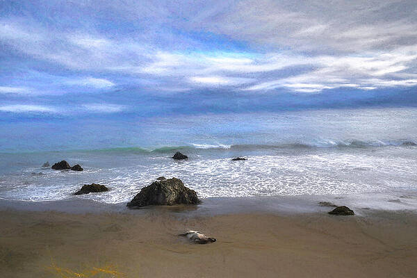 Chillin at Seal Beach by Wayne King Chillin at Seal Beach by Wayne King