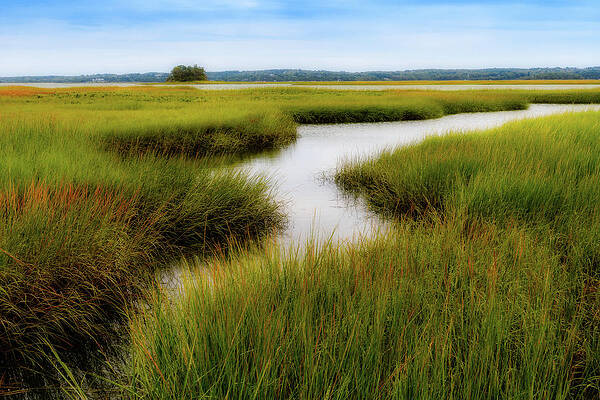 Choate Is. Estuary 1, Ipswich MA. by Michael Hubley Choate Is. Estuary 1, Ipswich MA. by Michael Hubley