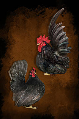 Choc Japanese bantams by Sigrid Van Dort Choc Japanese bantams by Sigrid Van Dort
