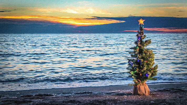 Christmas Beach Sunset by Joe Myeress Christmas Beach Sunset by Joe Myeress