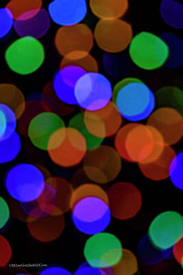 Christmas Lights by LeeAnn McLaneGoetz McLaneGoetzStudioLLCcom Christmas Lights by LeeAnn McLaneGoetz McLaneGoetzStudioLLCcom