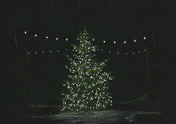 Wall Art - Drawing - Christmas Tree in the Night With Twinkle Lights by Taphath Foose