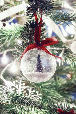 Christmas Tree by Wim Lanclus Christmas Tree by Wim Lanclus
